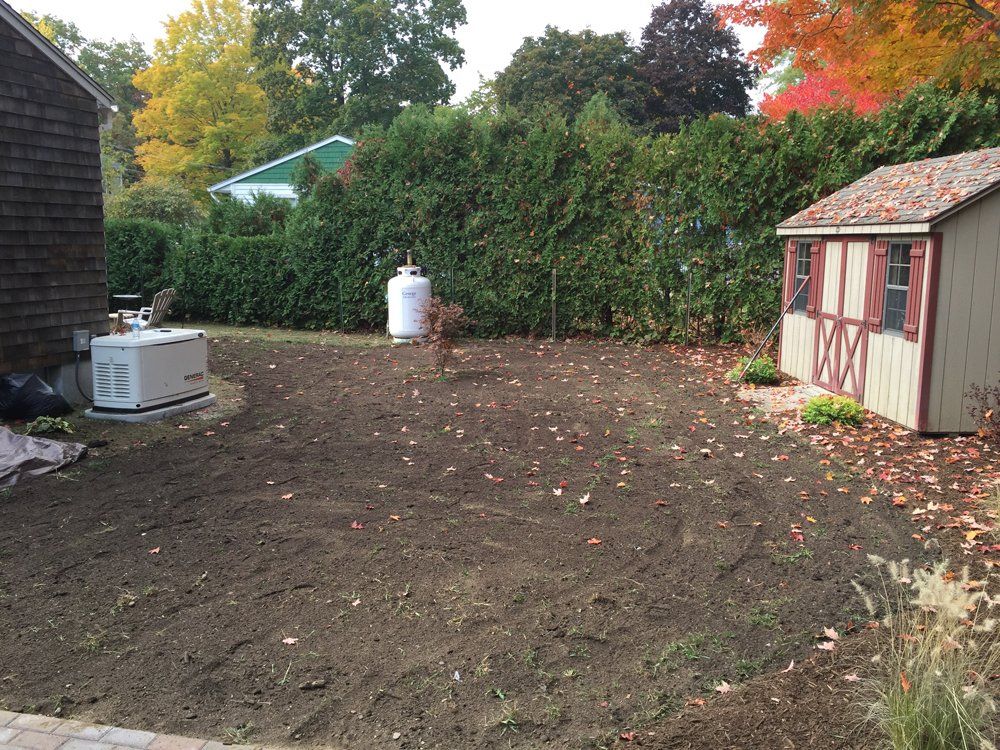 Yard before lawn installation