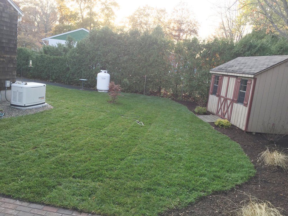 Yard after lawn installation