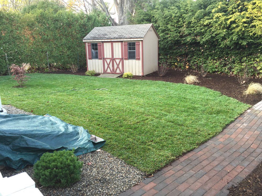 Yard after lawn installation