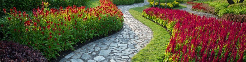 Cobblestone pathway with flowers