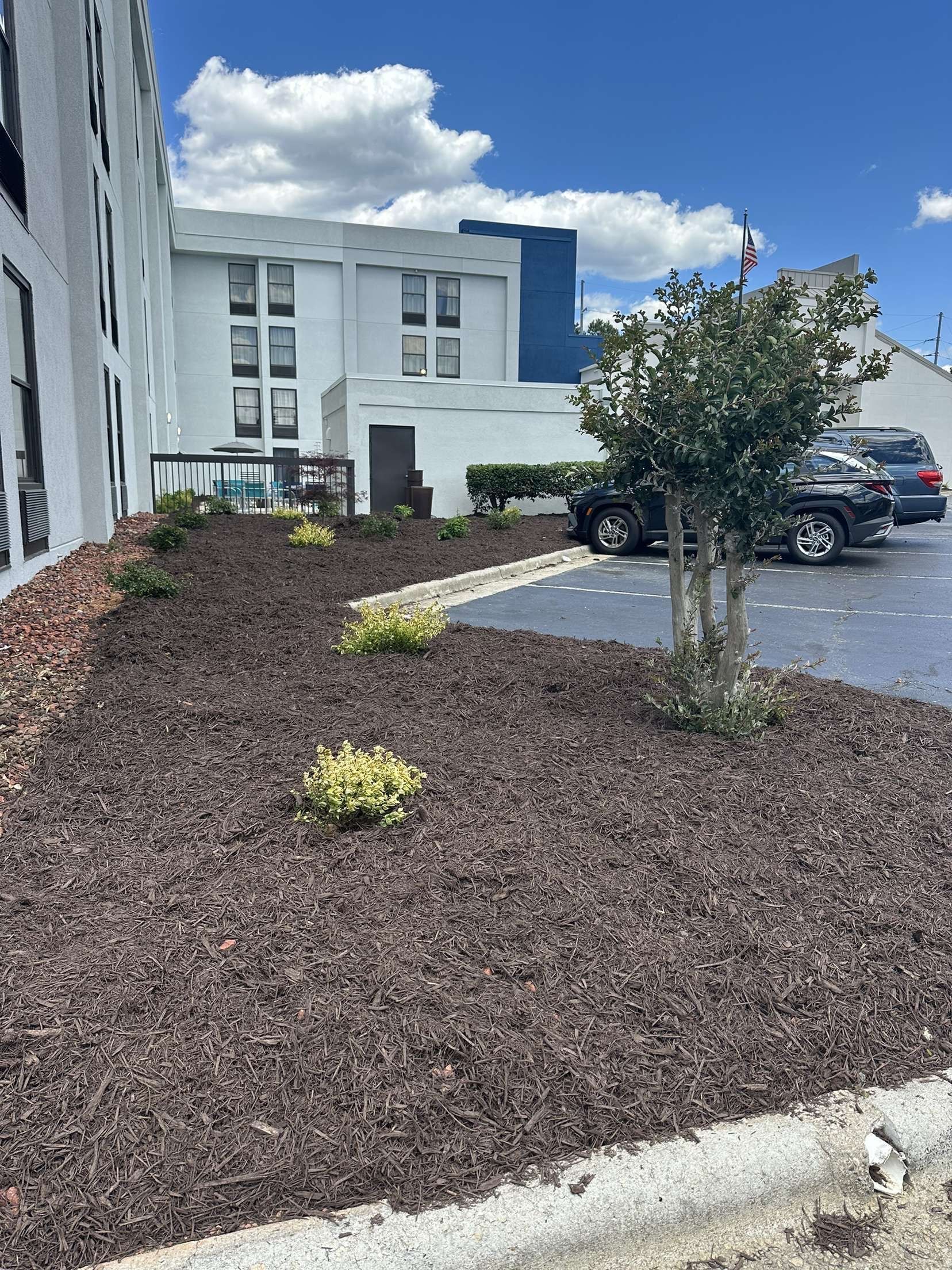 Brown mulch in front of a white building with small plants. Blue sky, cars parked nearby.