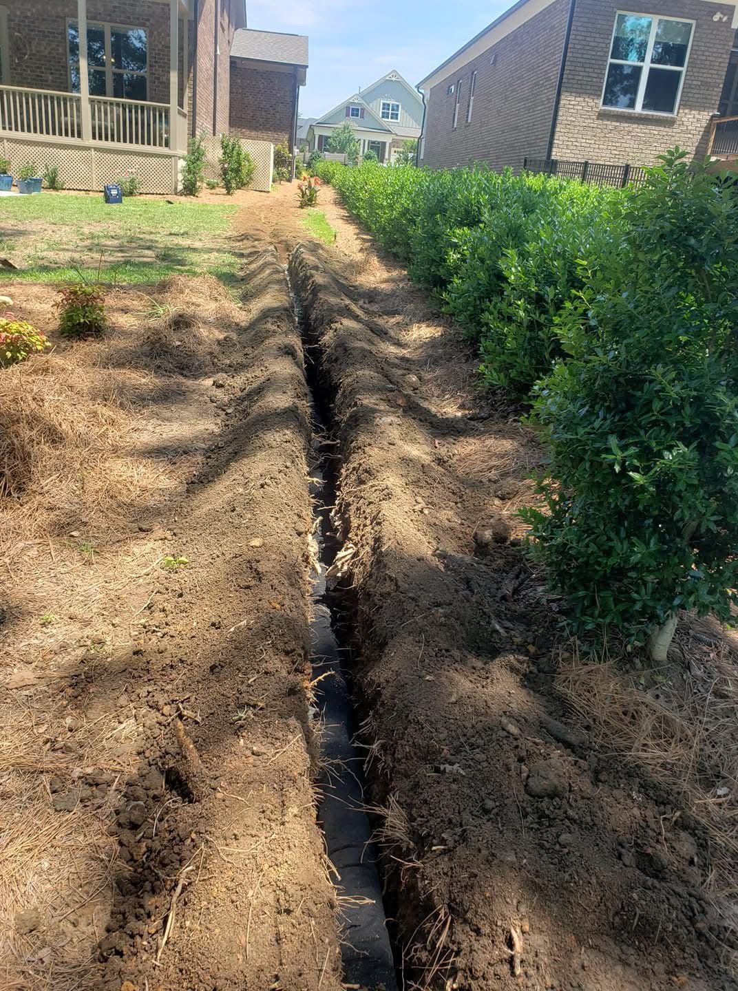 A narrow trench cut through soil, with a line of bushes on the right.