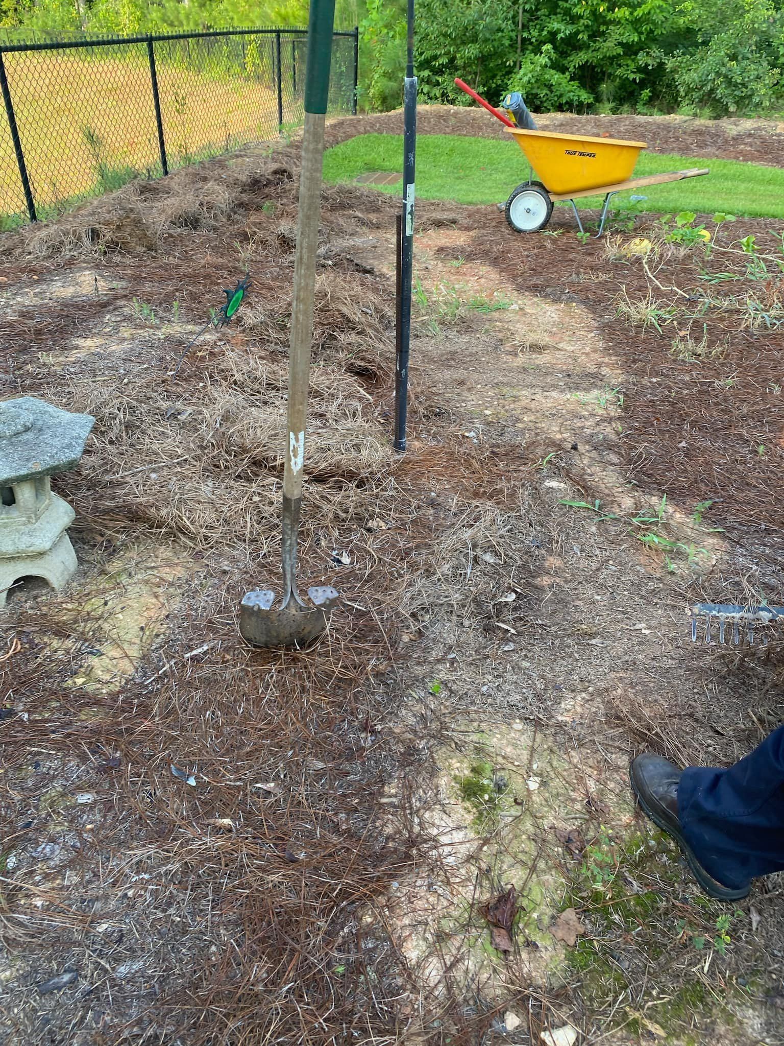 A garden with a shovel, wheelbarrow, and wood chips. A person's leg and shoe are in view.