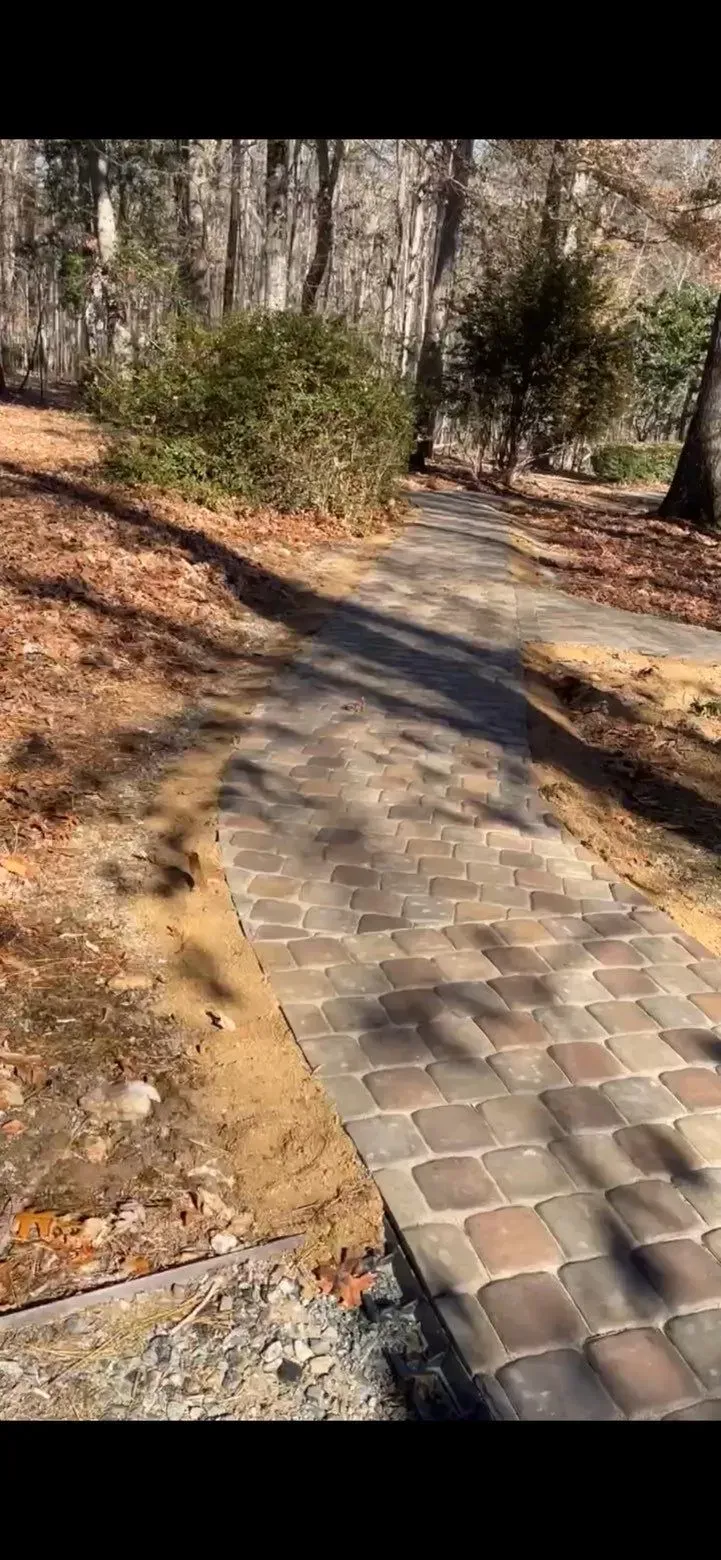 Brick pathway in a wooded area with trees and fallen leaves.