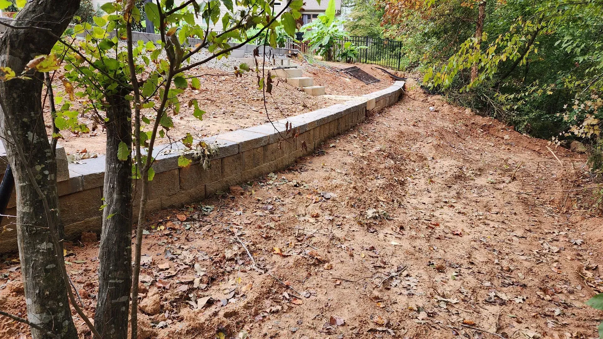 Brown fallen leaves cover a sloped path with a low stone wall, trees framing the scene.