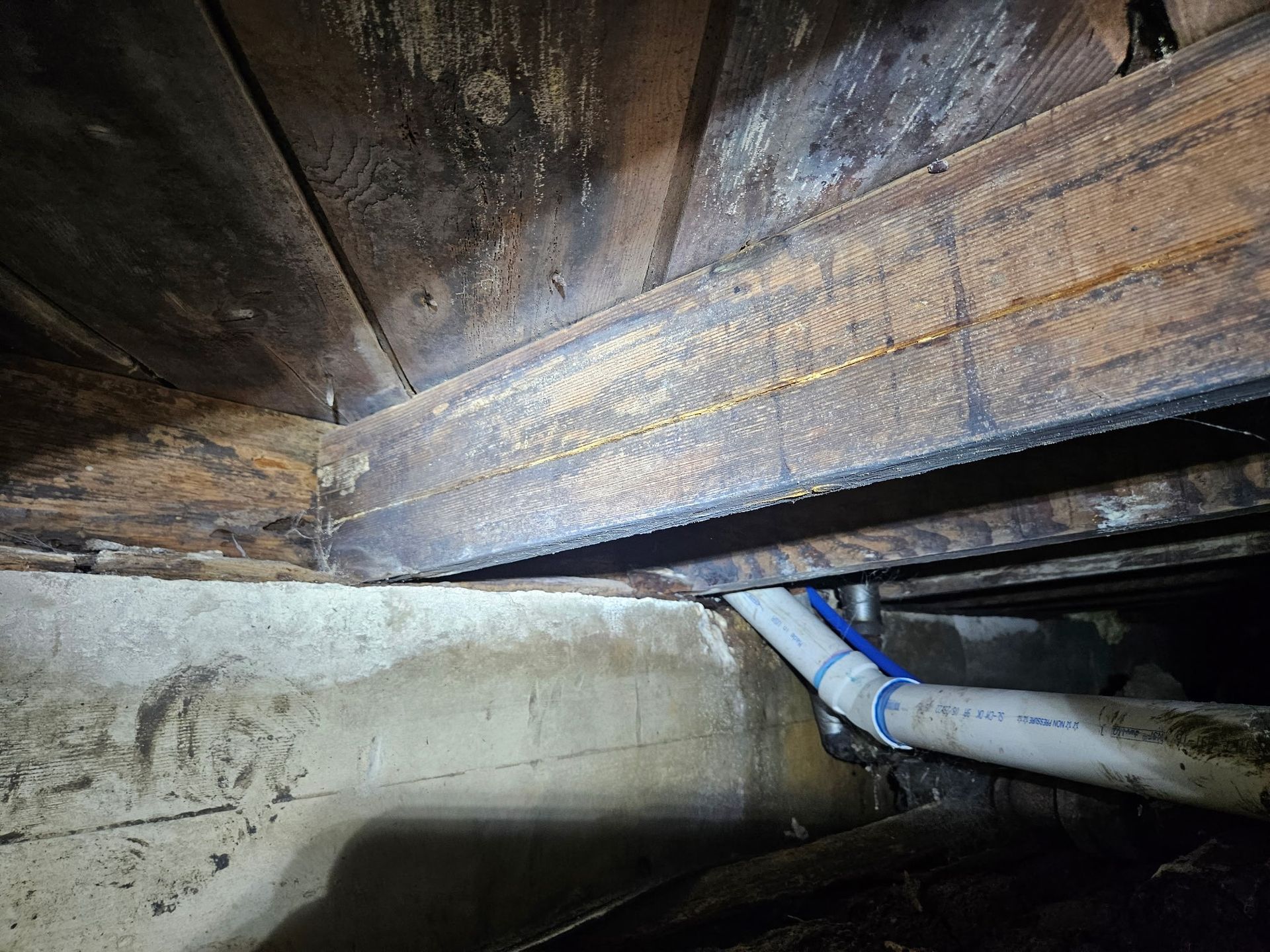Wooden beams and plumbing visible in crawl space, with concrete foundation.