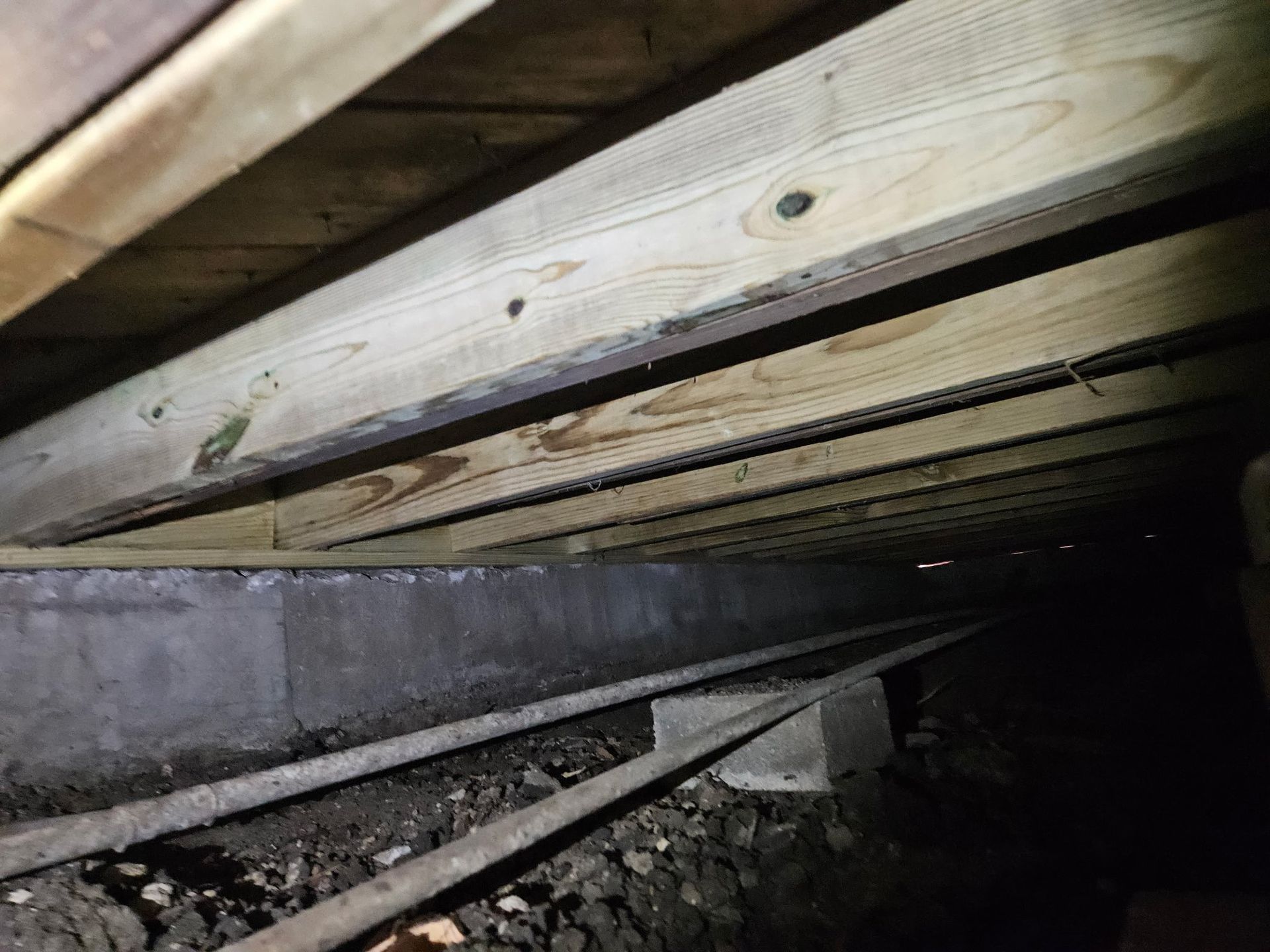 Underneath a house: wooden beams and a concrete foundation. Dark, dirt floor, structural supports.