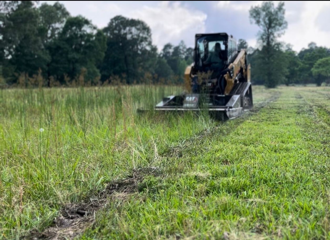 Skid steer mower cutting tall grass in a field with trees in the background.