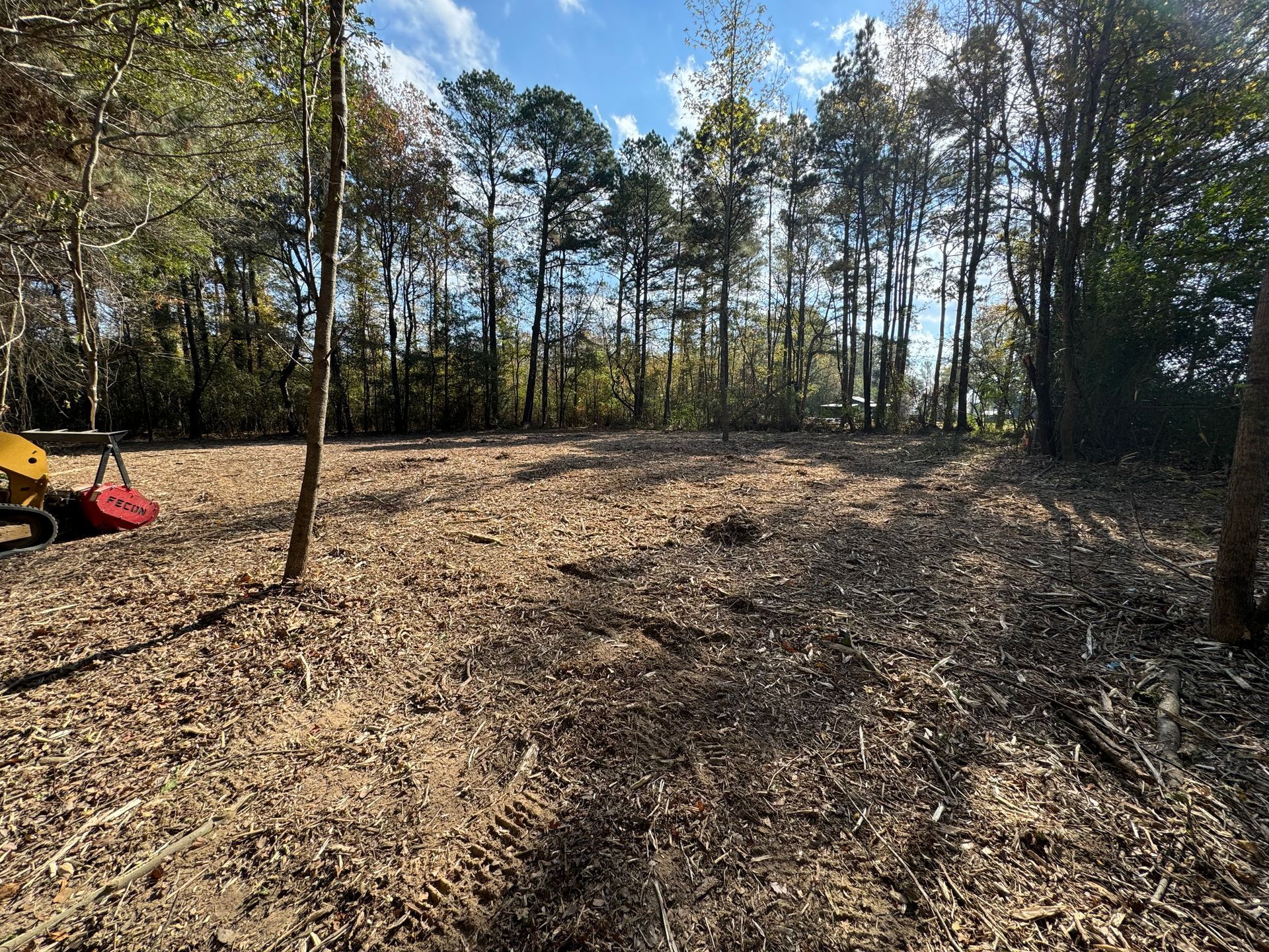 Cleared land with dirt and wood chips; trees in background, sunny day.