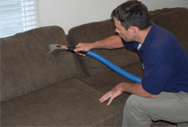 Carpet Cleaner
