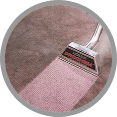 Carpet Cleaning