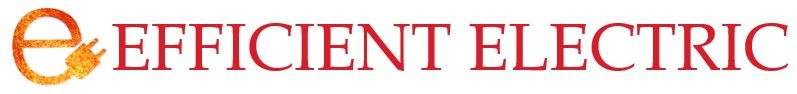 Efficient Electric Logo