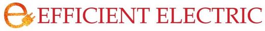 Efficient Electric Logo