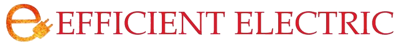 Efficient Electric Logo