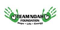 Logo for Team Noah Foundation. Green handprints flank the words