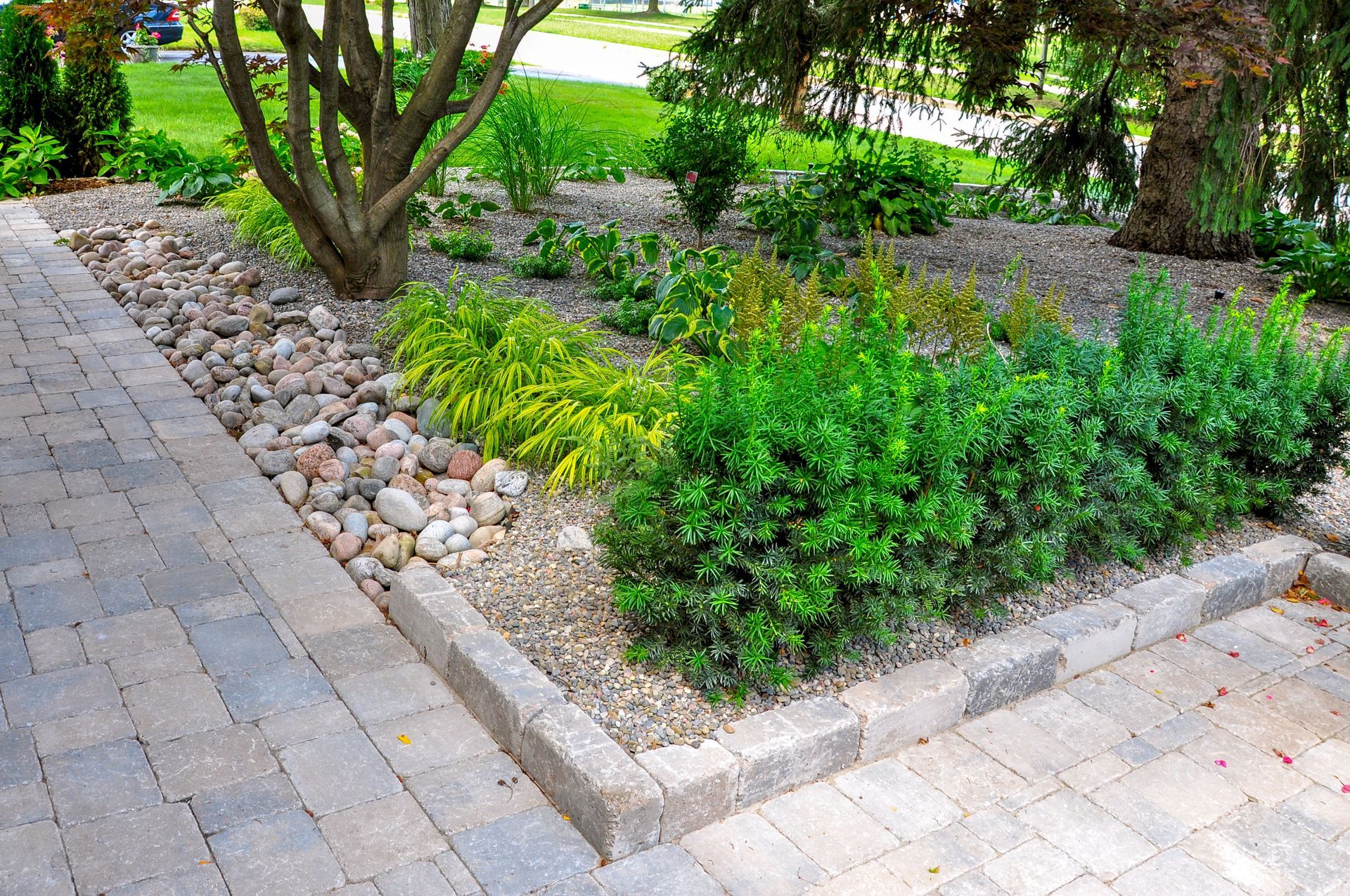 Stone walkway and landscaped garden bed with various green plants and gravel.