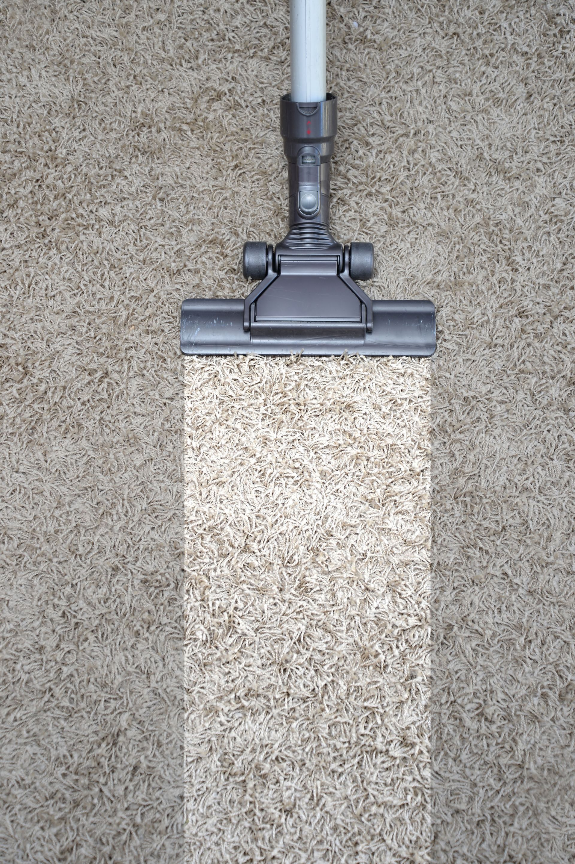 Vacuum cleaner head on beige carpet, centered in frame
