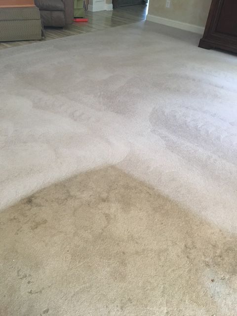 Burkhart Carpet Cleaning