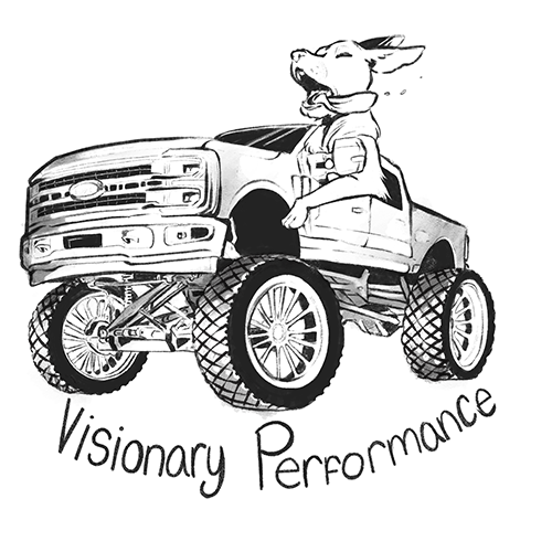 Visionary Performance