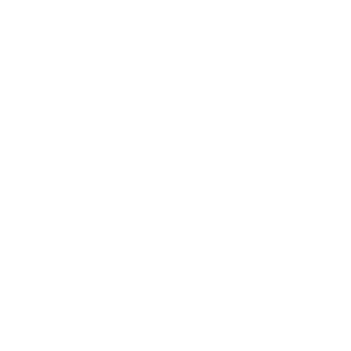Visionary Performance Logo