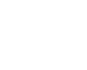 New Directions Logo