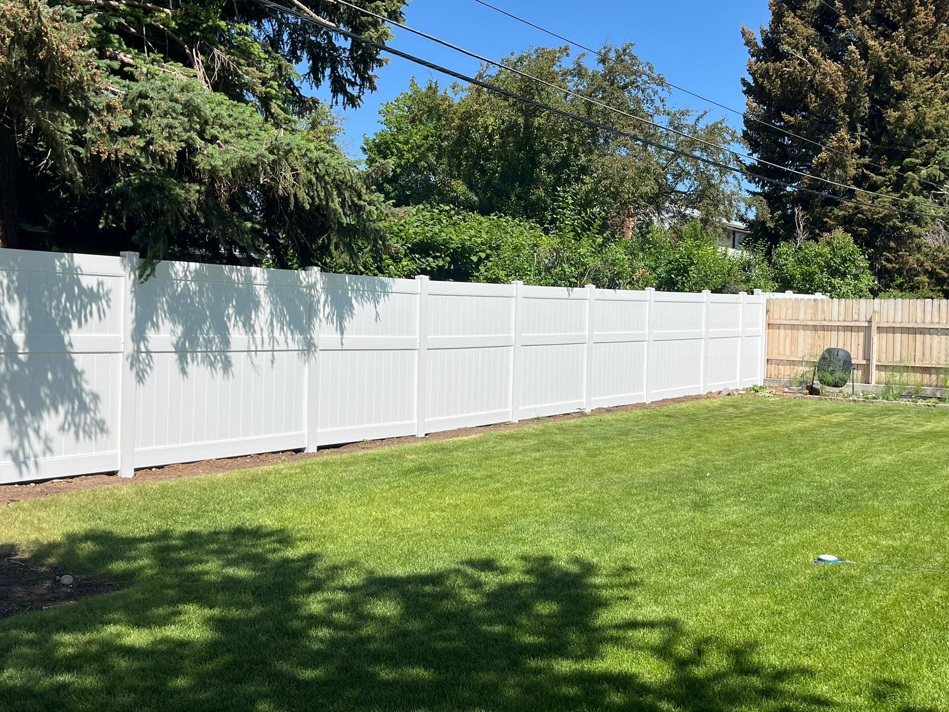 A white fence surrounds a lush green yard.