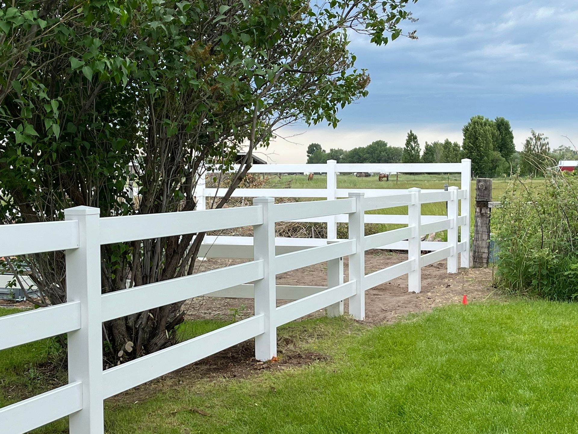 A white fence surrounds a grassy field with trees in the background.