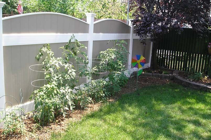 A backyard with a fence , plants and a windmill