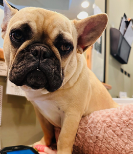 Photo of {{Team Member Name}}