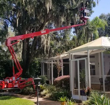 Tree Trimming