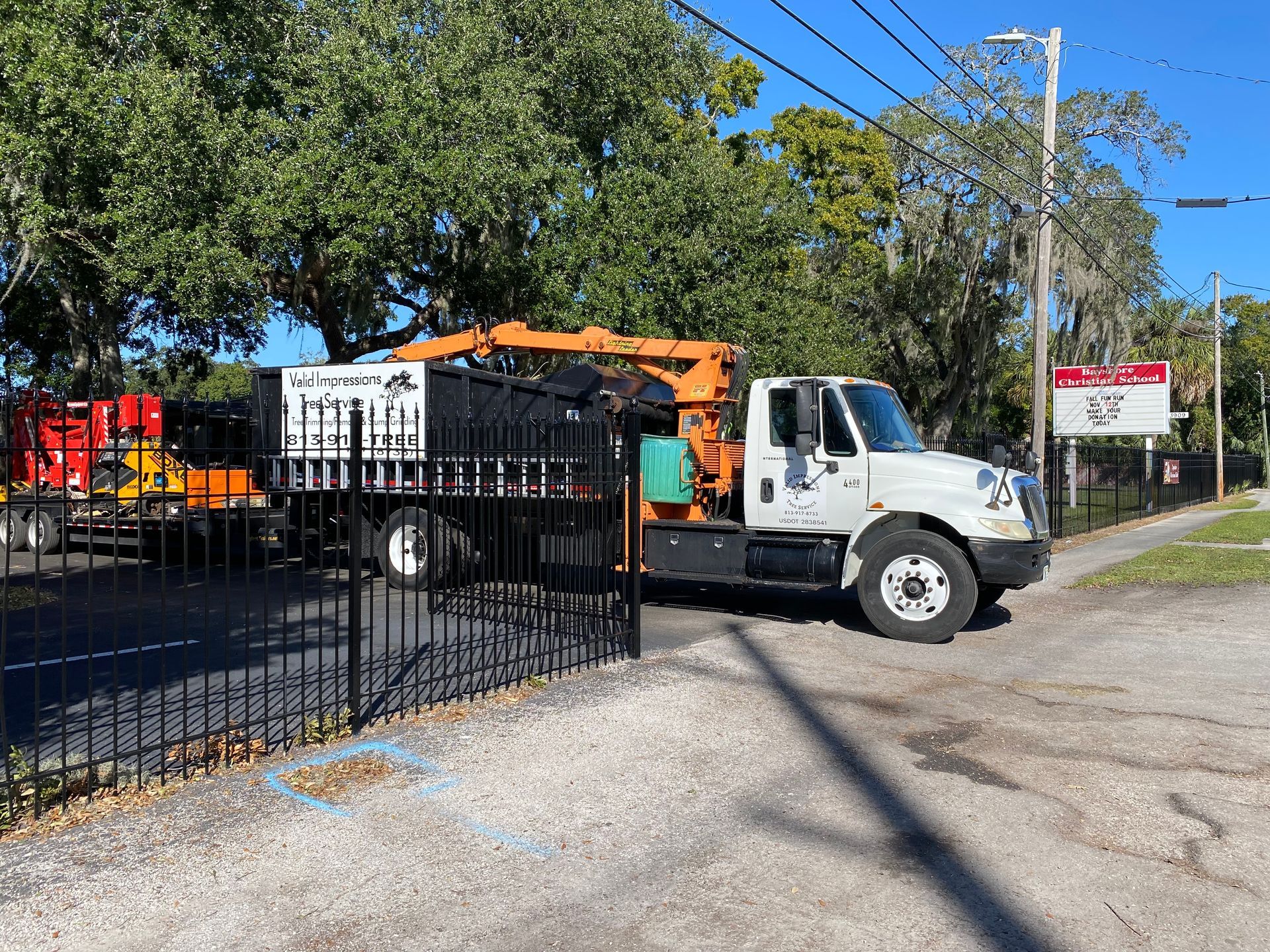 Learn More About Commercial Tree Work trees