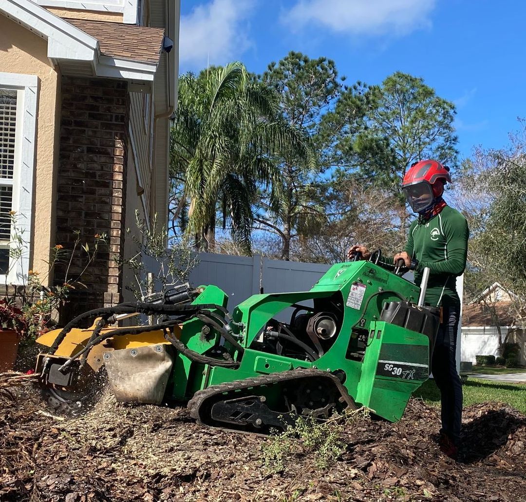 Learn More About Stump Removal Stump