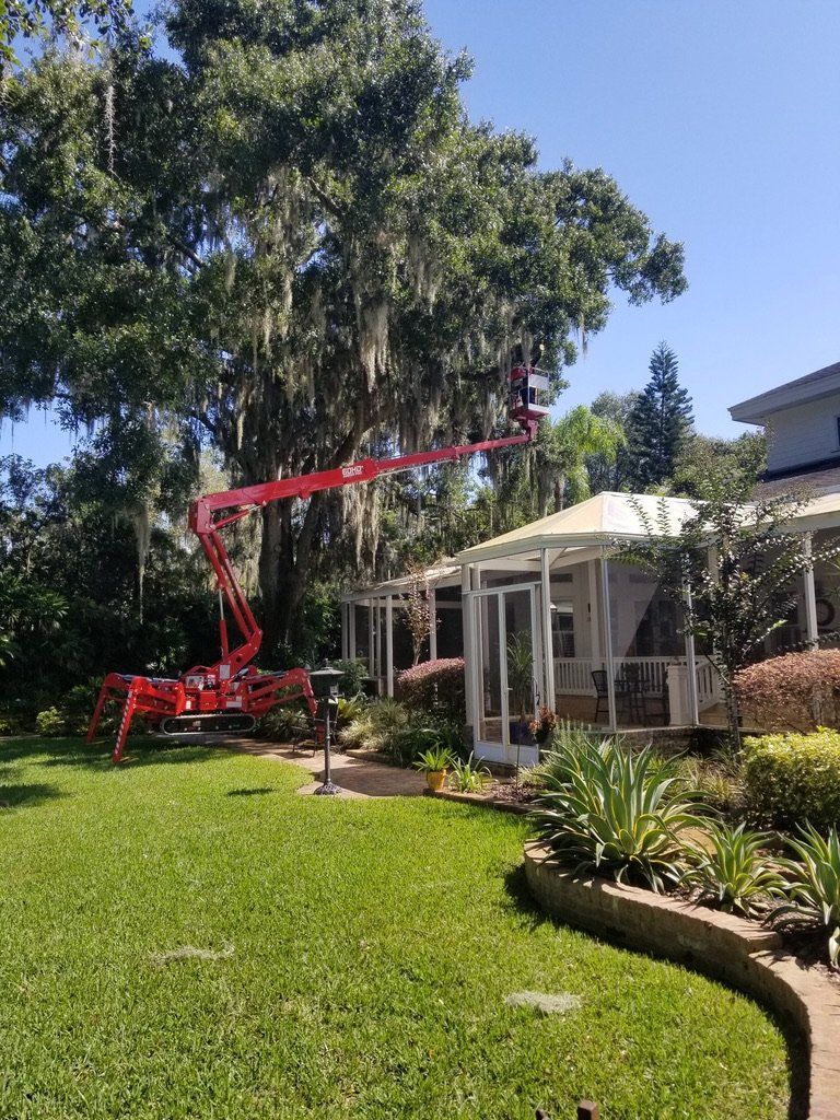 tree service