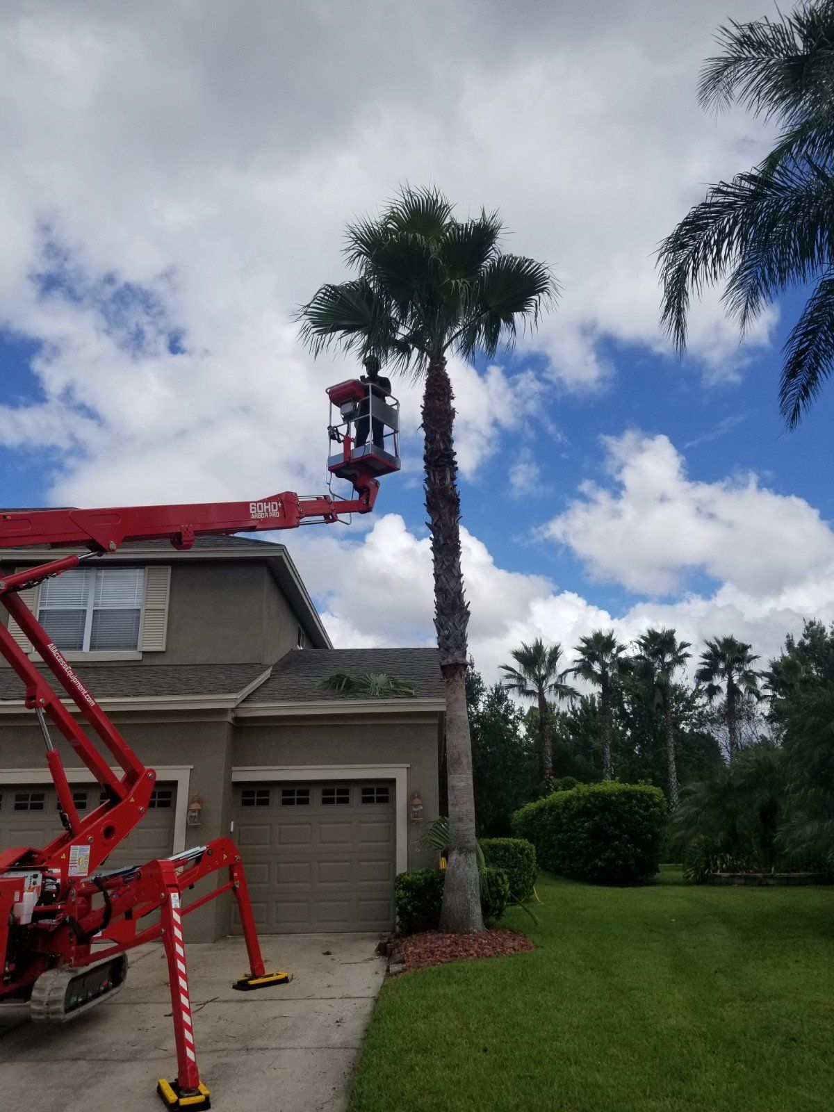 tree service