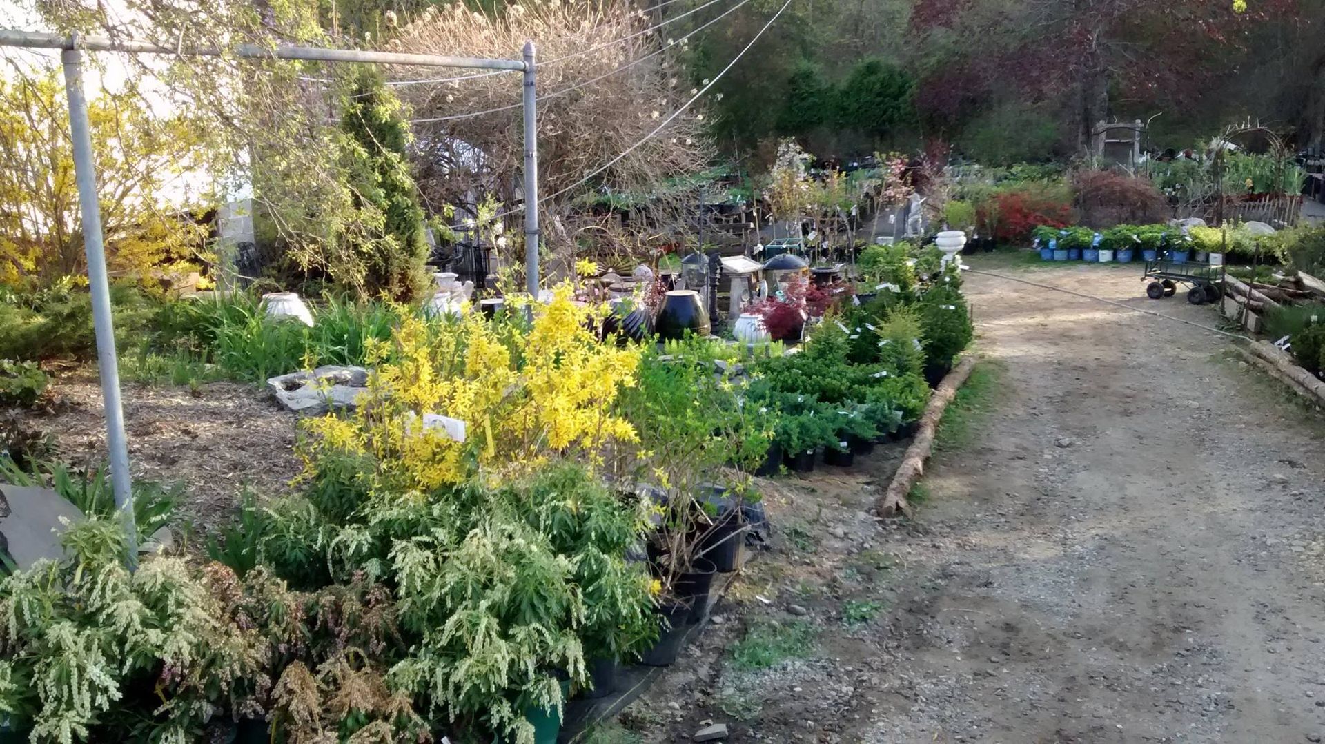 Tree Nursery South Windham, CT