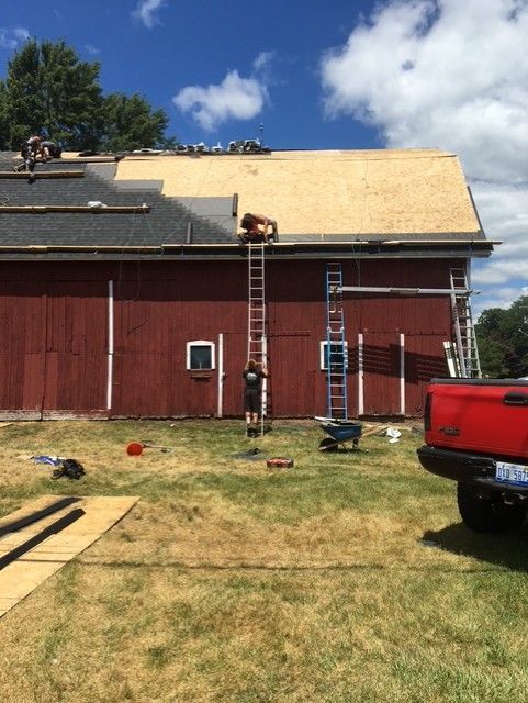 Roofers on a red barn, replacing the roof. Several workers on ladders and roof. Bright, sunny day.