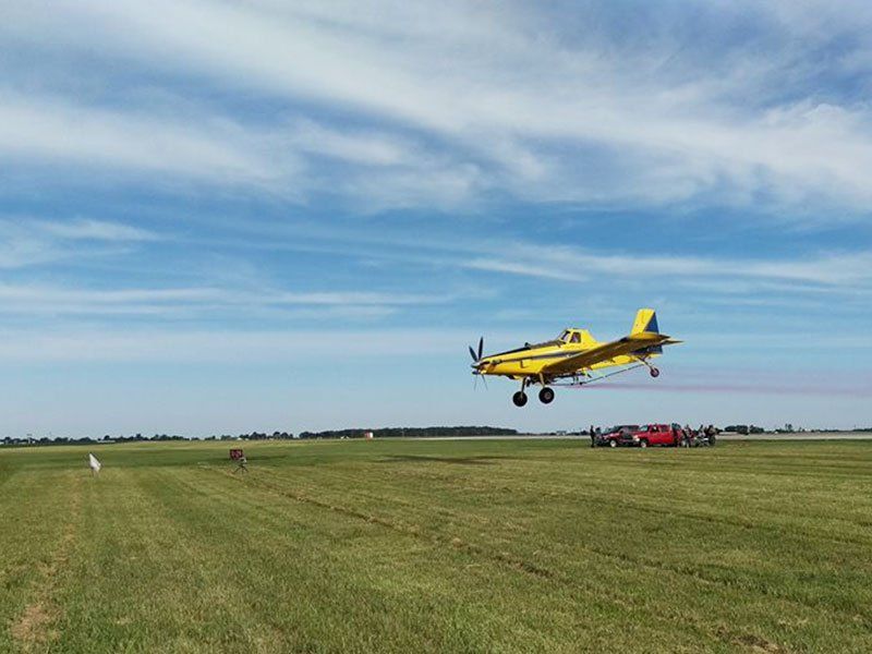 A yellow plane is taking off from a grassy field