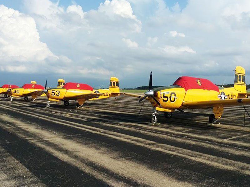 A row of yellow planes with the number 50 on them