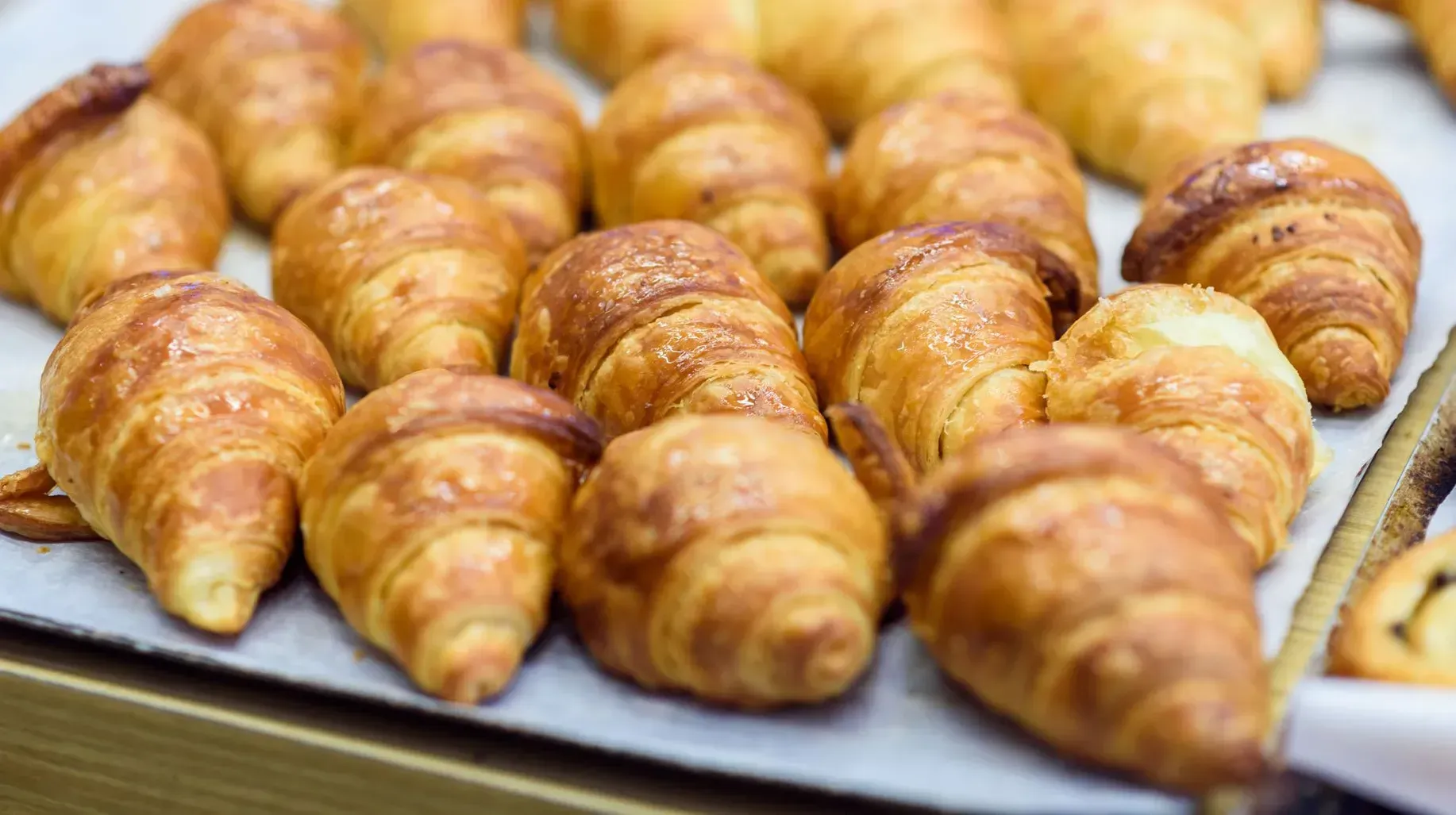 Golden, baked croissants arranged on a tray, close-up view.