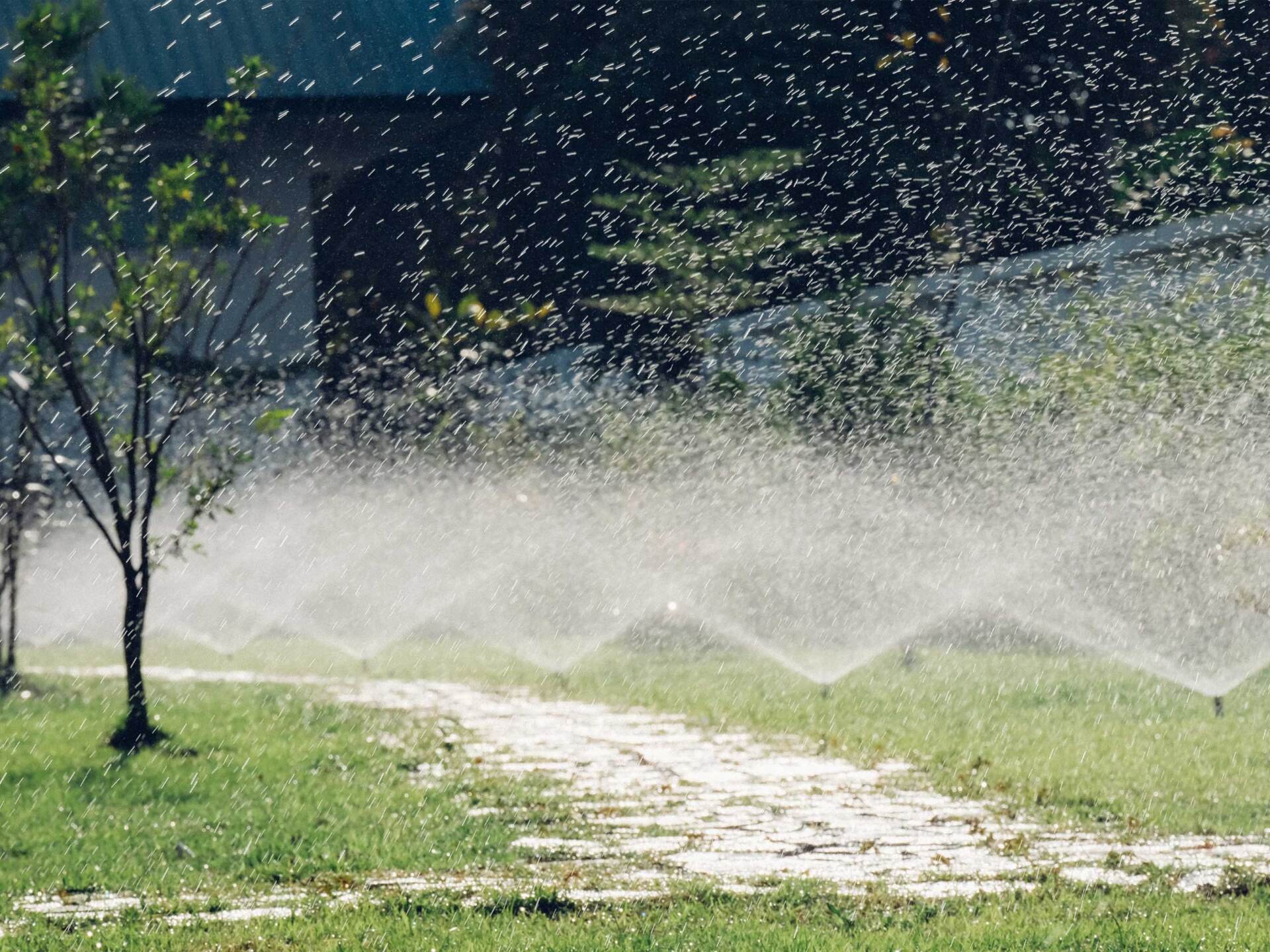 Lawn sprinkler