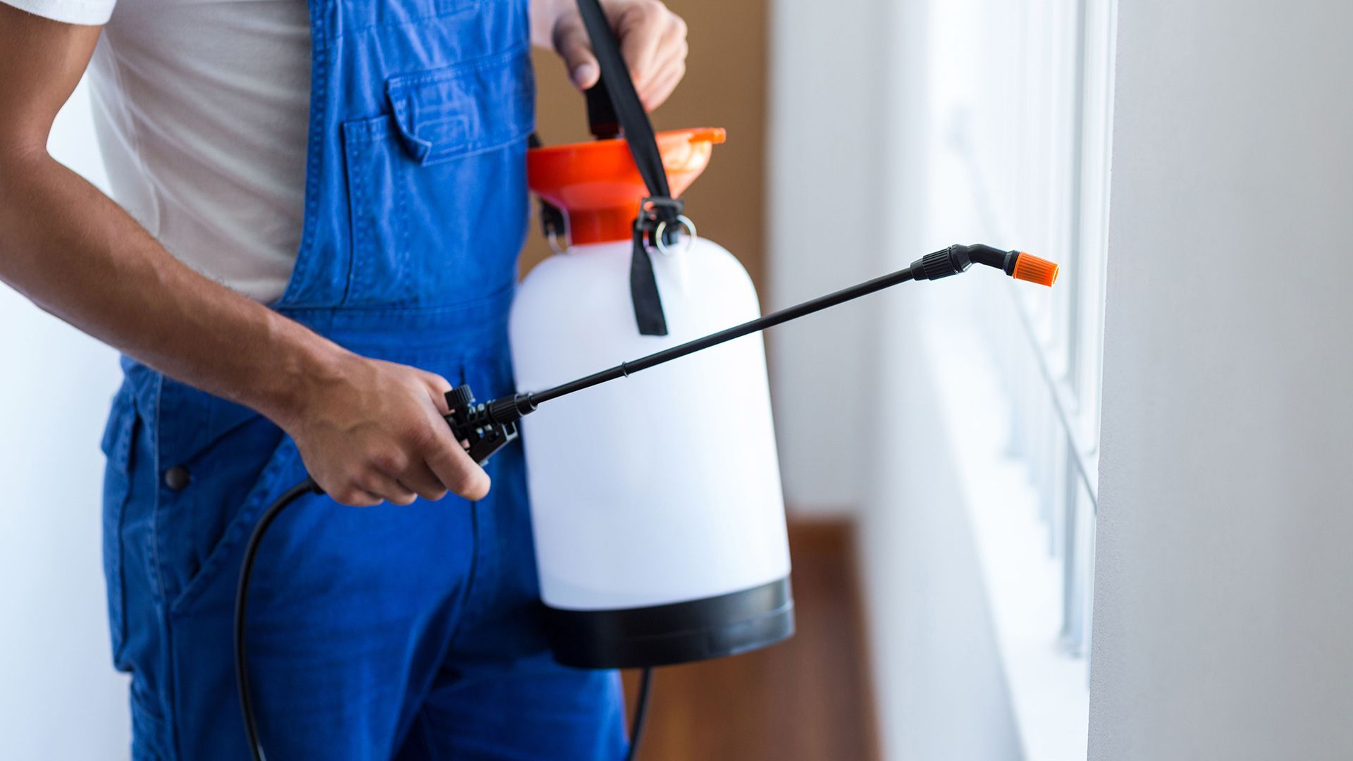 Pest Control Companies Englewood FL BanABug Pest Control