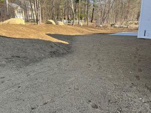 Bare dirt driveway beside a house, bordered by trees and leaf litter.