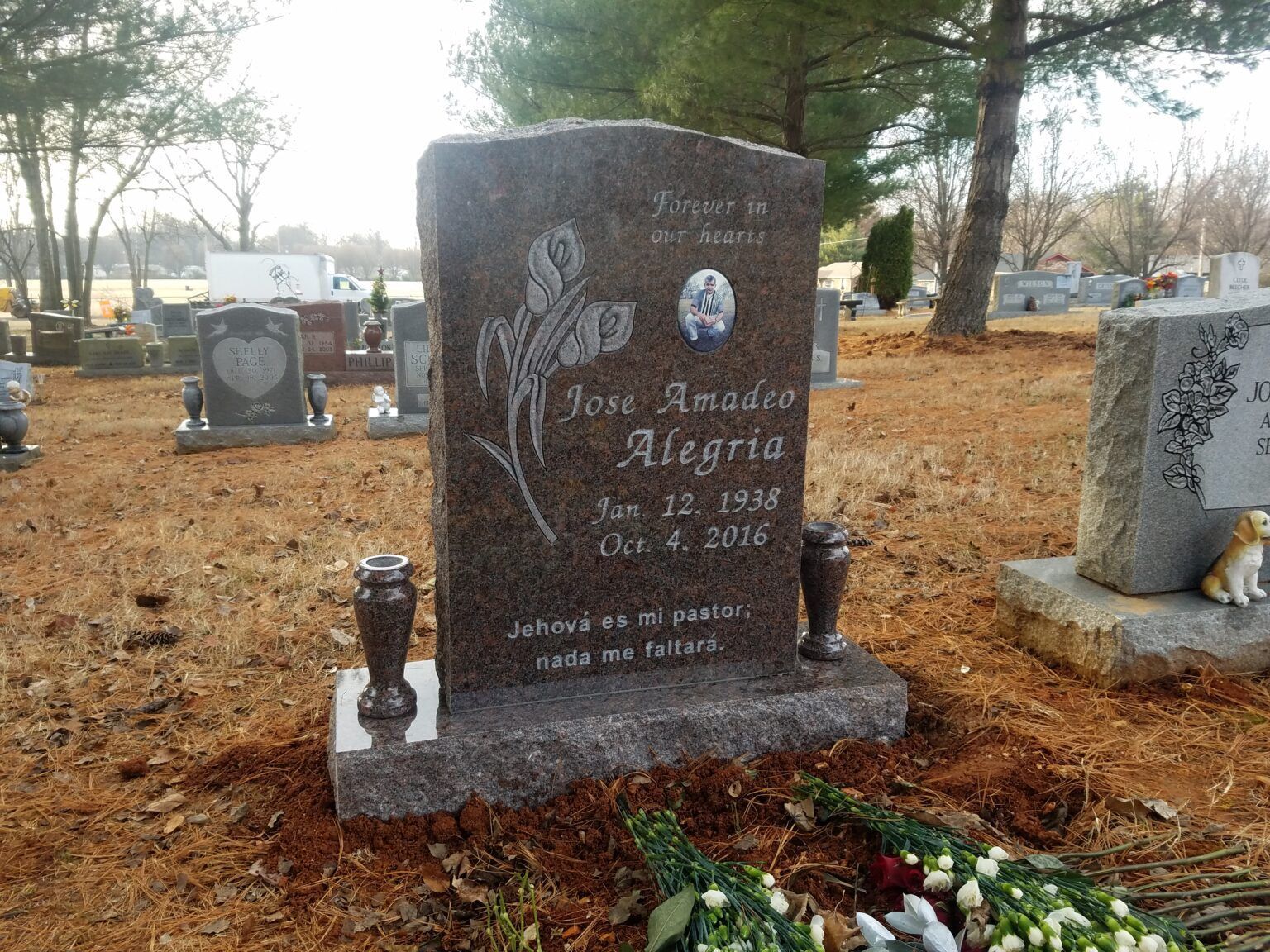 A granite headstone for Jose Amadeo Alegria, dated Jan 22, 1938 – Oct 4, 2016, in a cemetery.