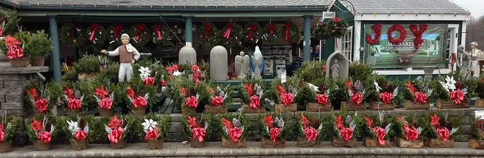 Plants
