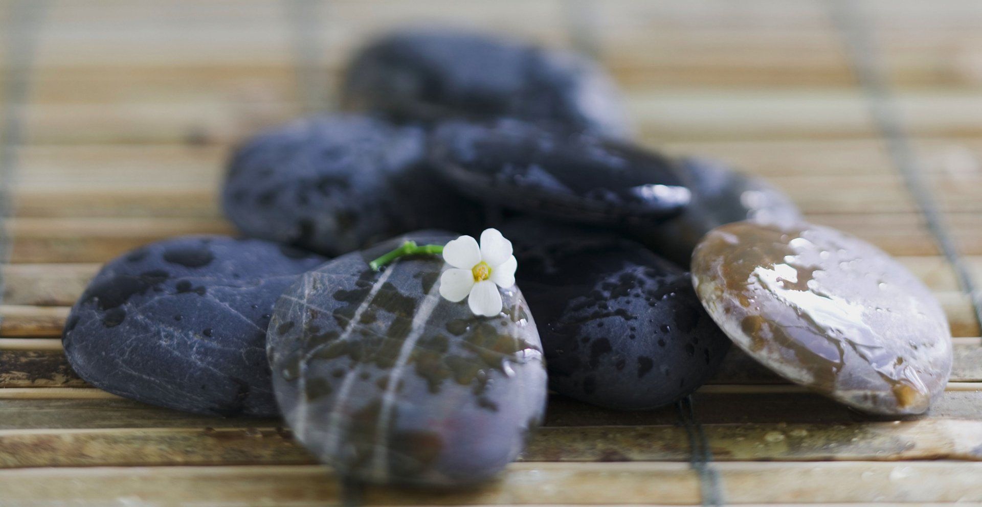 A Touch of Caring Massage Therapy gallery