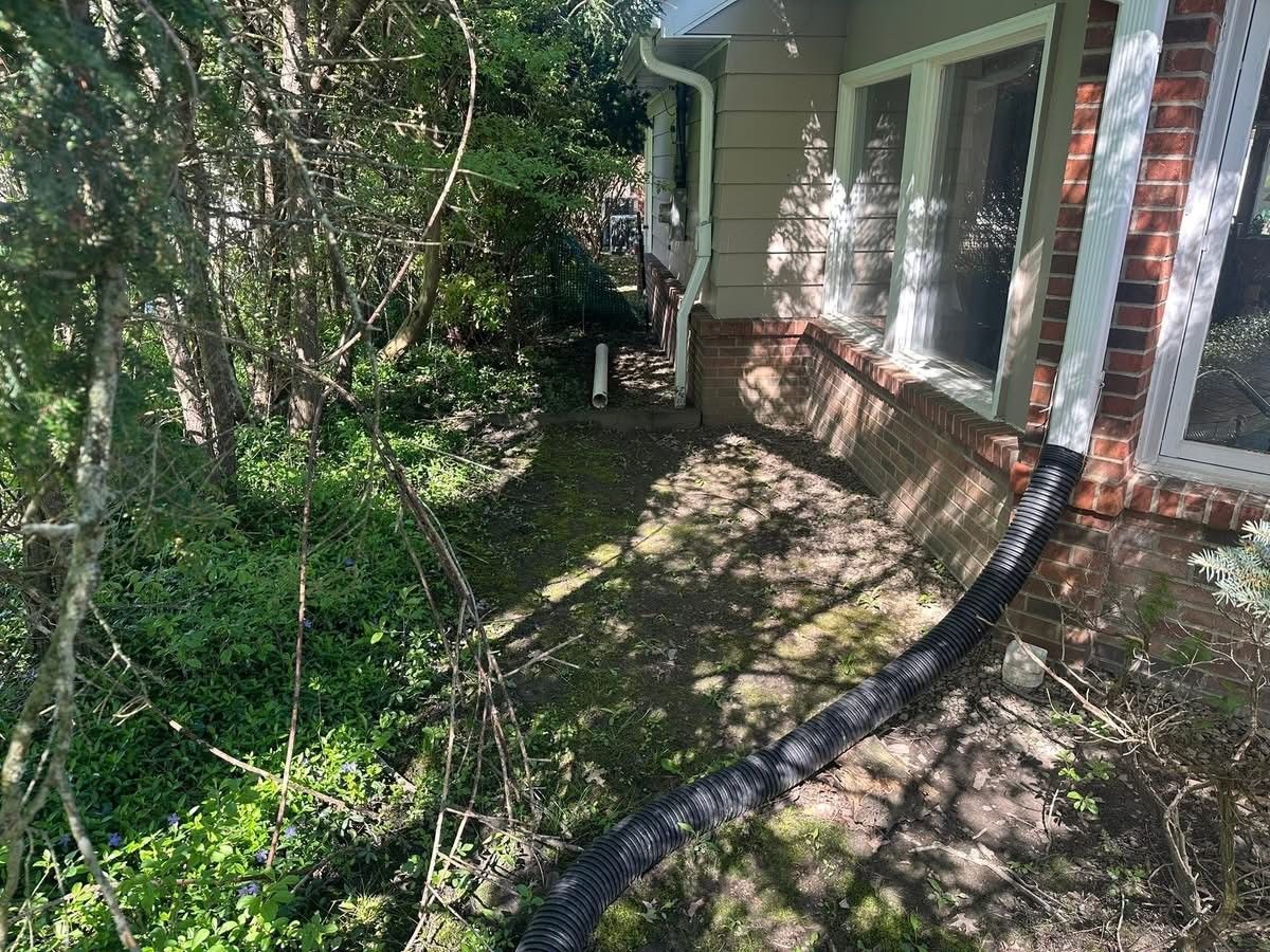 Side of a house with a brick foundation, windows, and a downspout that extends into a overgrown area with trees and bushes.