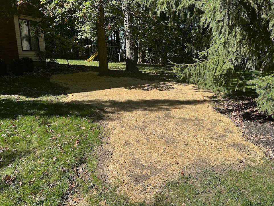 A dirt path leading to a house in a park surrounded by trees.