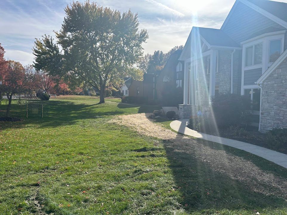 A house with a lot of grass and trees in front of it.