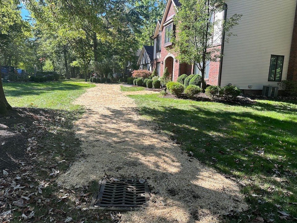 A dirt path leading to a house with a drain in the middle of it.