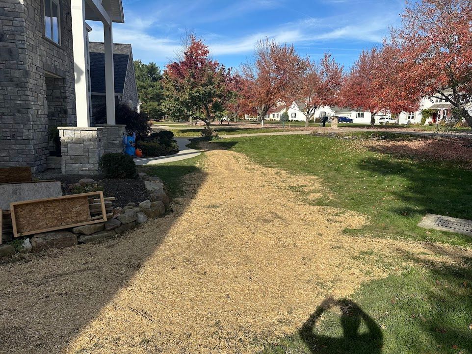 A gravel driveway leading to a house in a residential neighborhood.